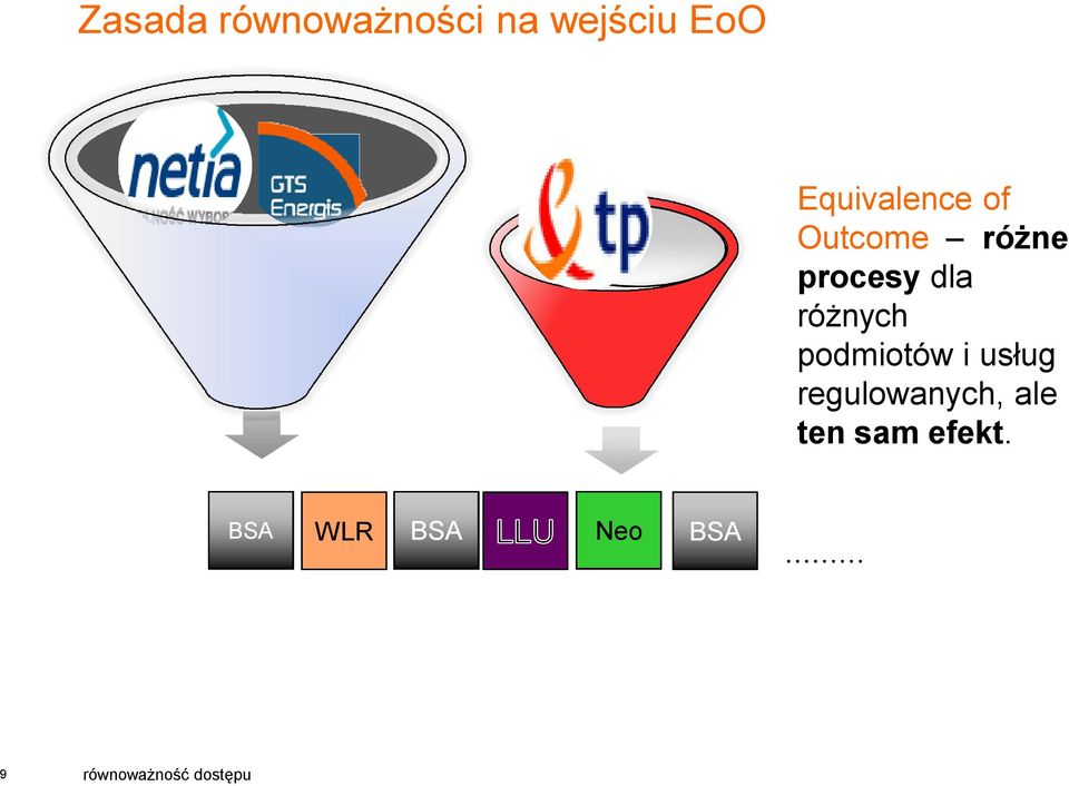 różnych podmiotów i usług regulowanych, ale