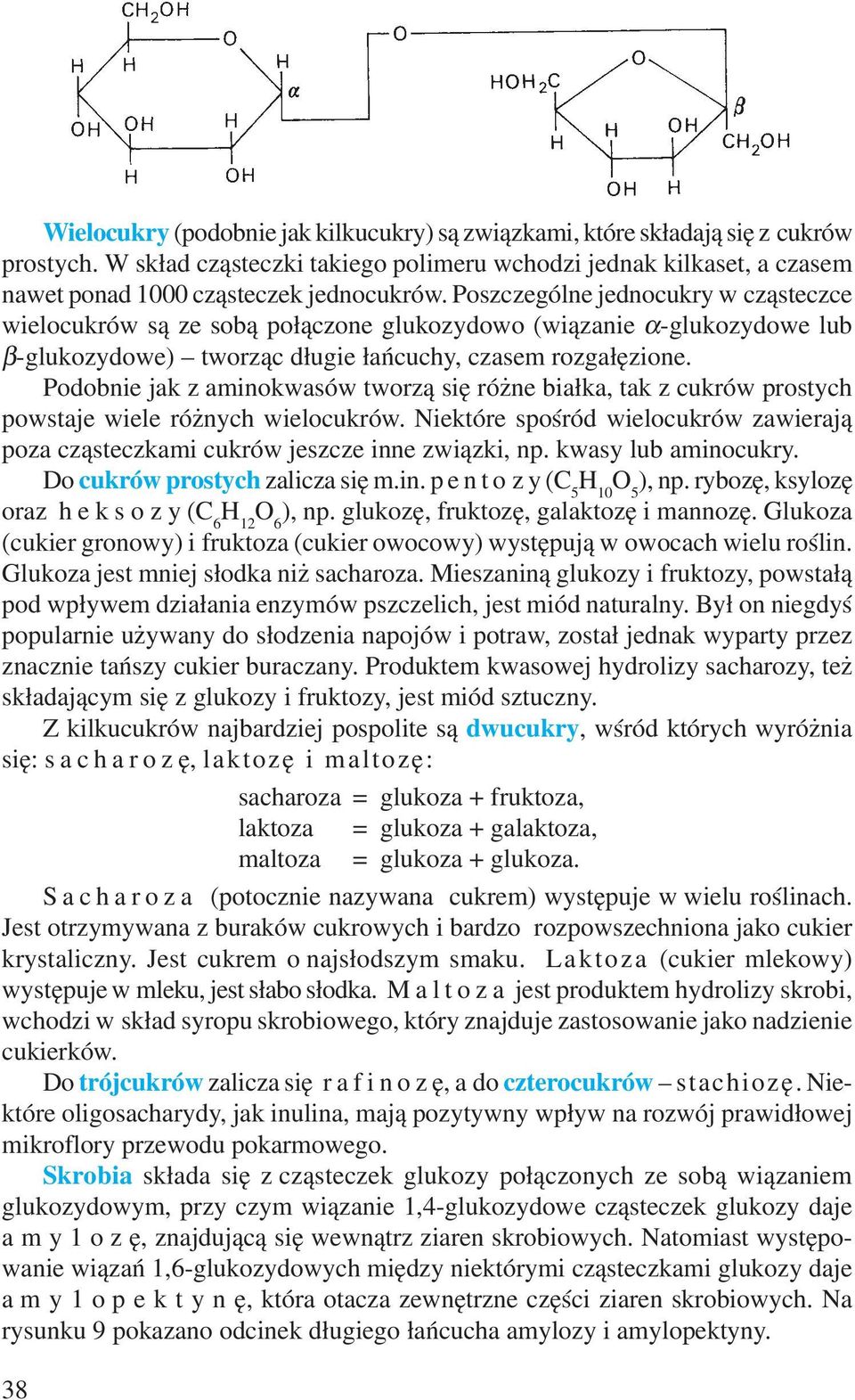 Podobnie jak z aminokwasów tworzą się różne białka, tak z cukrów prostych powstaje wiele różnych wielocukrów. Niektóre spośród wielocukrów zawierają poza cząsteczkami cukrów jeszcze inne związki, np.