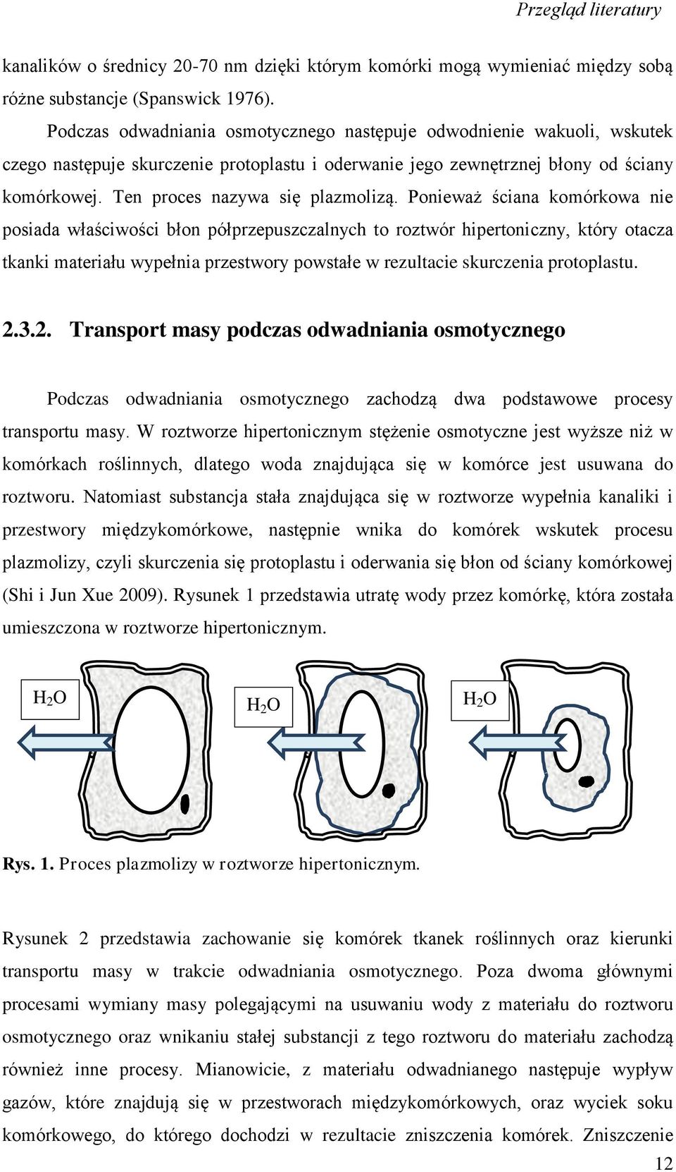 Ten proces nazywa się plazmolizą.