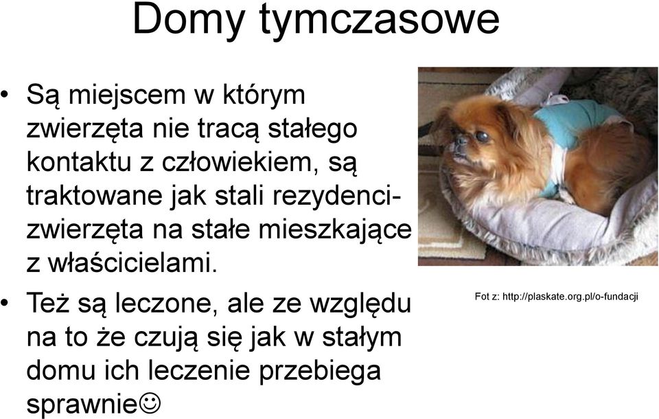 z właścicielami.