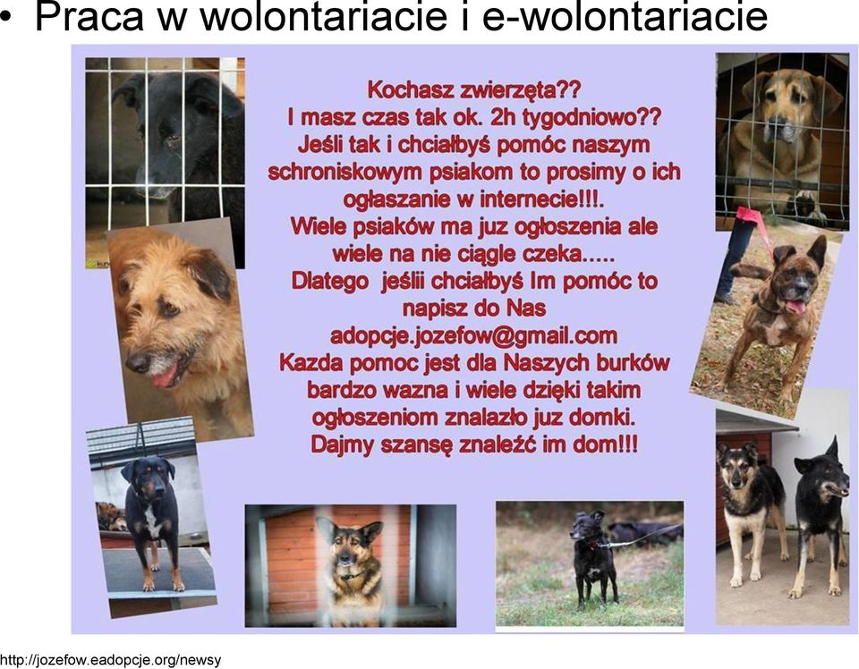 e-wolontariacie