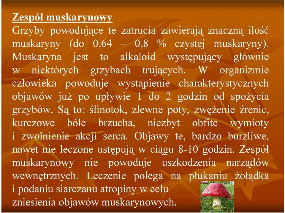 W organizmie człowieka powoduje wystąpienie charakterystycznych objawów już po upływie 1 do 2 godzin od spożycia grzybów.