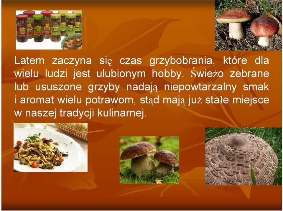 Świeżo zebrane lub ususzone grzyby nadają niepowtarzalny