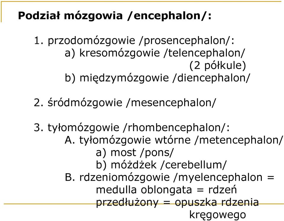 /diencephalon/ 2. śródmózgowie /mesencephalon/ 3. tyłomózgowie /rhombencephalon/: A.