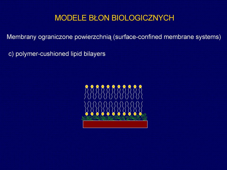 (surface-confined membrane