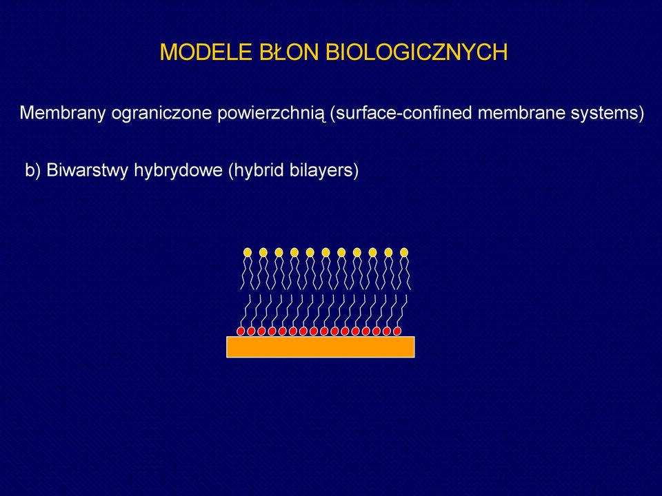 (surface-confined membrane