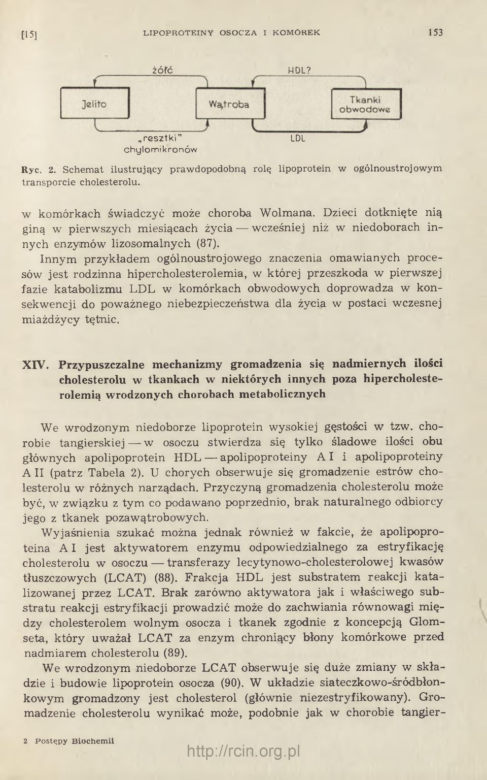 Innym przykładem ogólnoustrojowego znaczenia omawianych procesów jest rodzinna hipercholesterolemia, w której przeszkoda w pierwszej fazie katabolizmu LDL w komórkach obwodowych doprowadza w