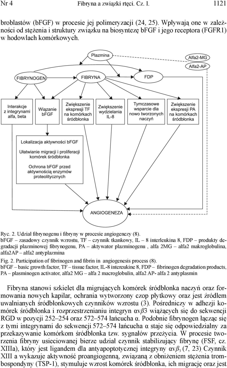 bfgf zasadowy czynnik wzrostu, TF czynnik tkankowy, IL 8 interleukina 8, FDP produkty degradacji plazminowej fibrynogenu, PA aktywator plazminogenu, alfa 2MG alfa2 makroglobulina, alfa2ap alfa2