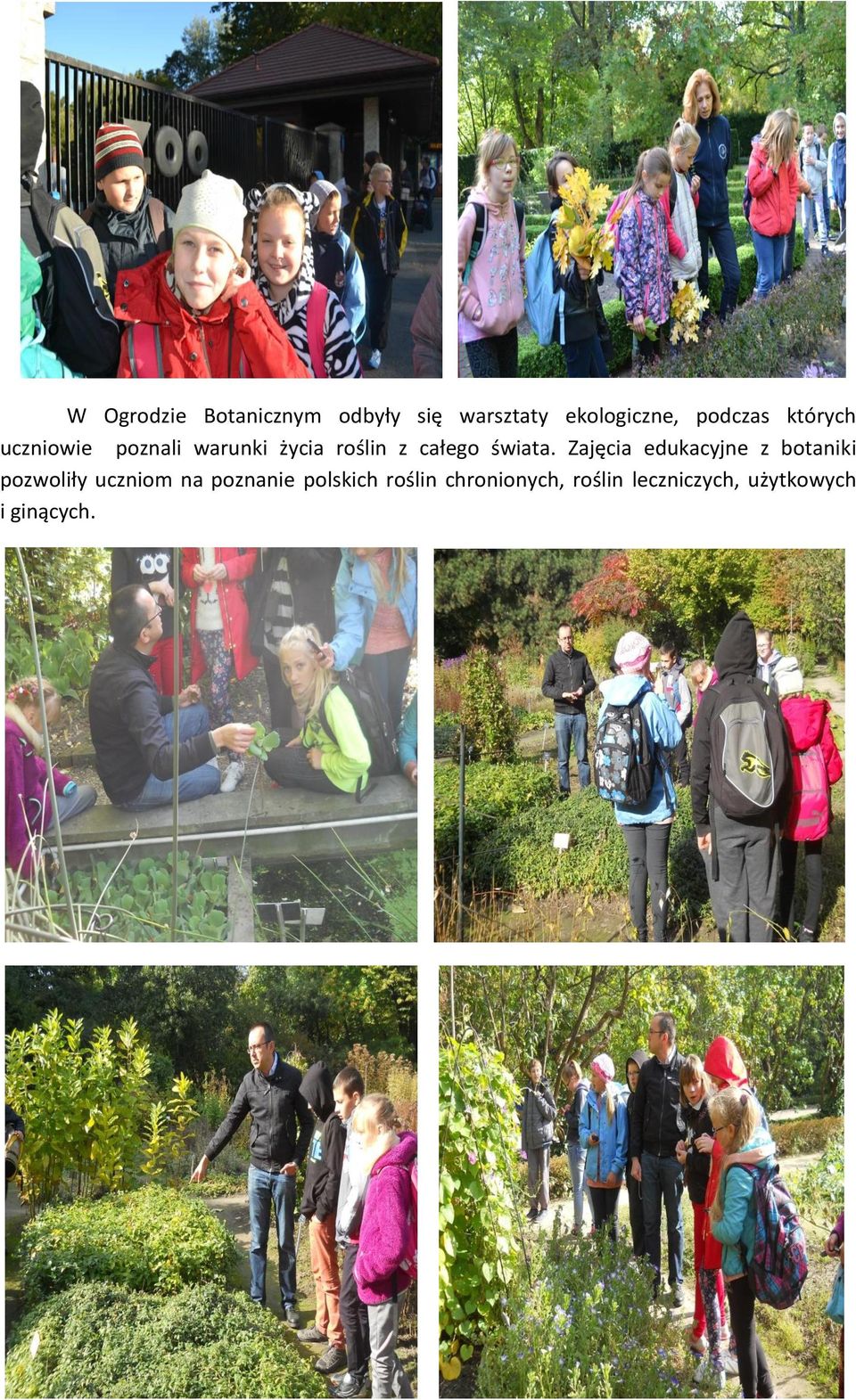 Zajęcia edukacyjne z botaniki pozwoliły uczniom na poznanie