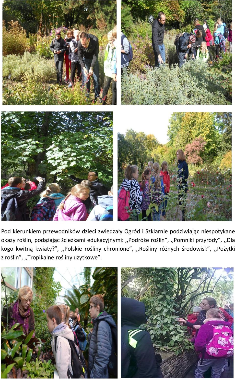 roślin,,,pomniki przyrody,,,dla kogo kwitną kwiaty?