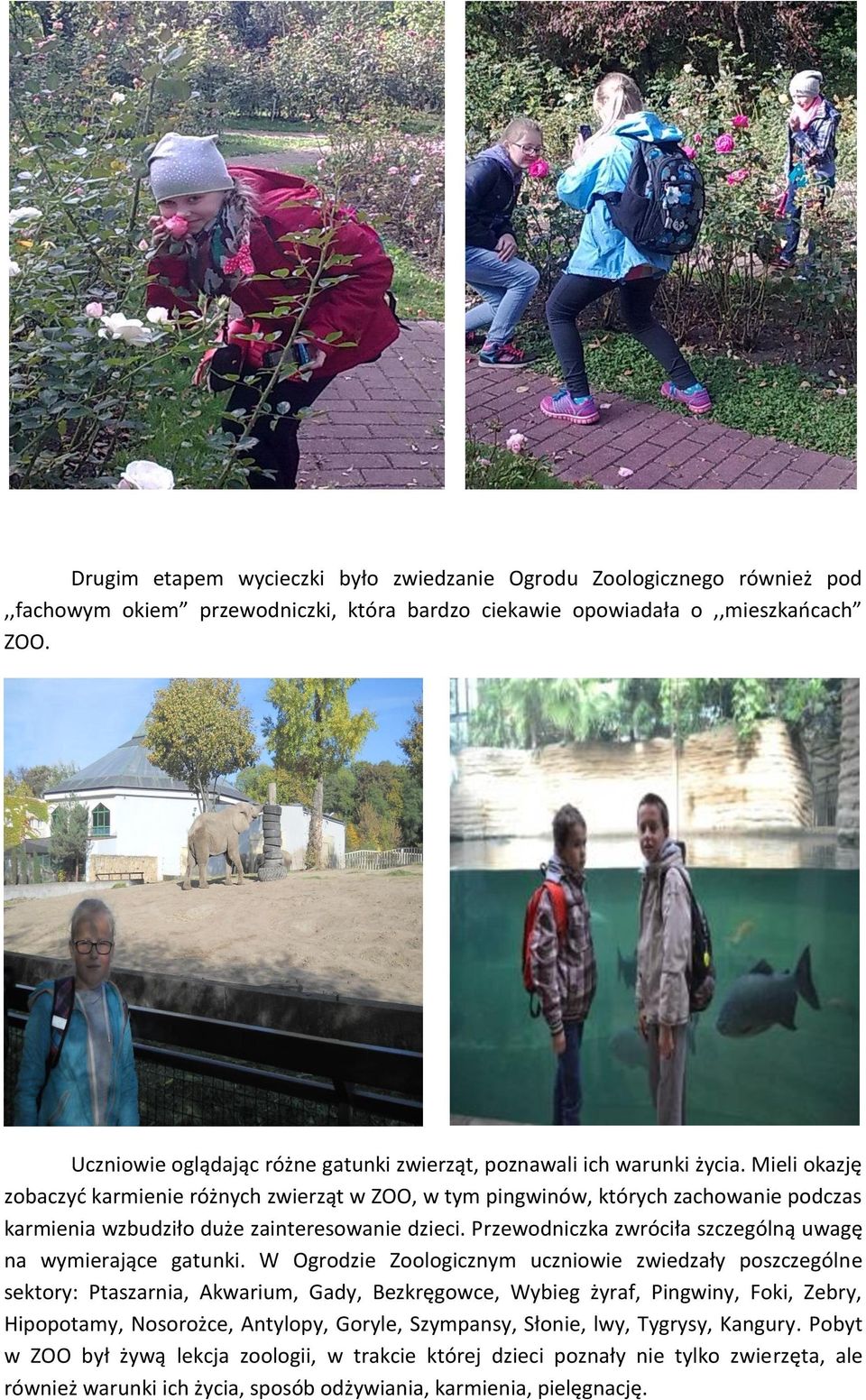 Mieli okazję zobaczyć karmienie różnych zwierząt w ZOO, w tym pingwinów, których zachowanie podczas karmienia wzbudziło duże zainteresowanie dzieci.