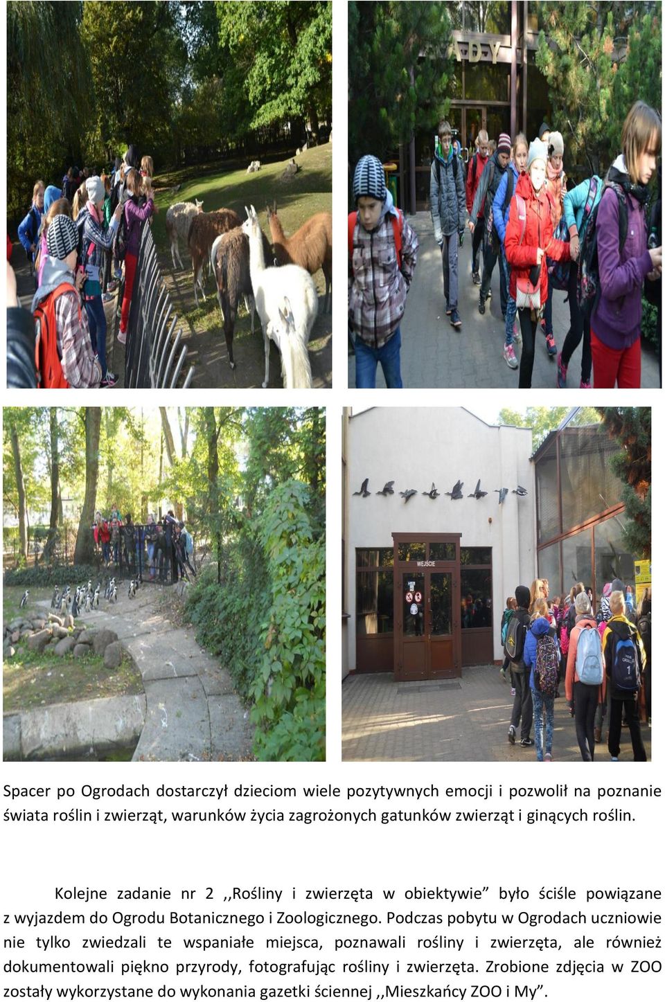 Kolejne zadanie nr 2,,Rośliny i zwierzęta w obiektywie było ściśle powiązane z wyjazdem do Ogrodu Botanicznego i Zoologicznego.