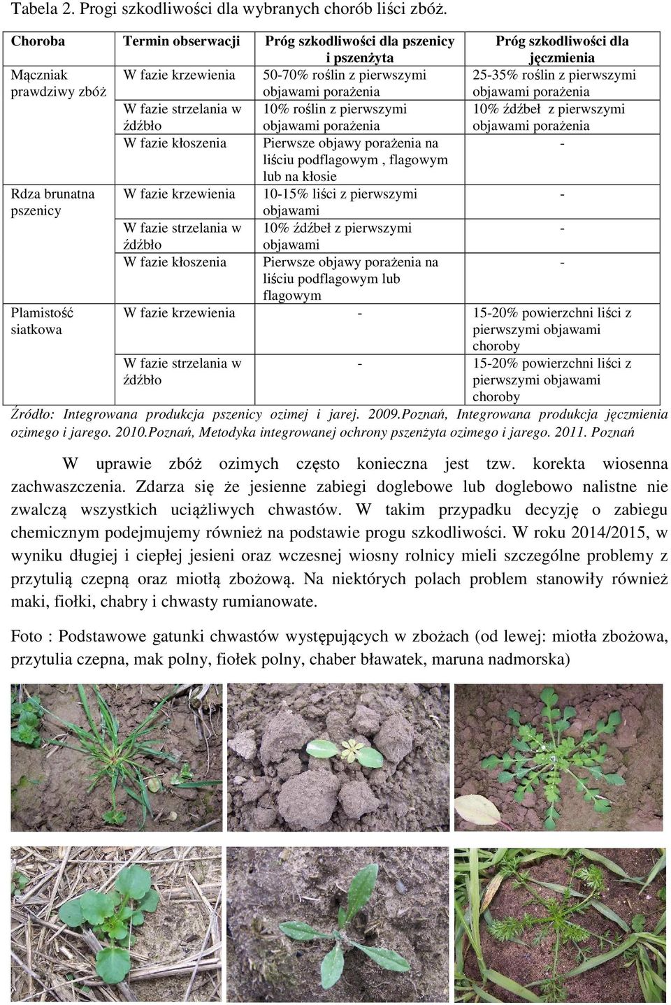 kłoszenia Pierwsze objawy porażenia na liściu podflagowym, flagowym lub na kłosie Rdza brunatna W fazie krzewienia 1015% liści z pierwszymi pszenicy objawami W fazie strzelania w 10% źdźbeł z