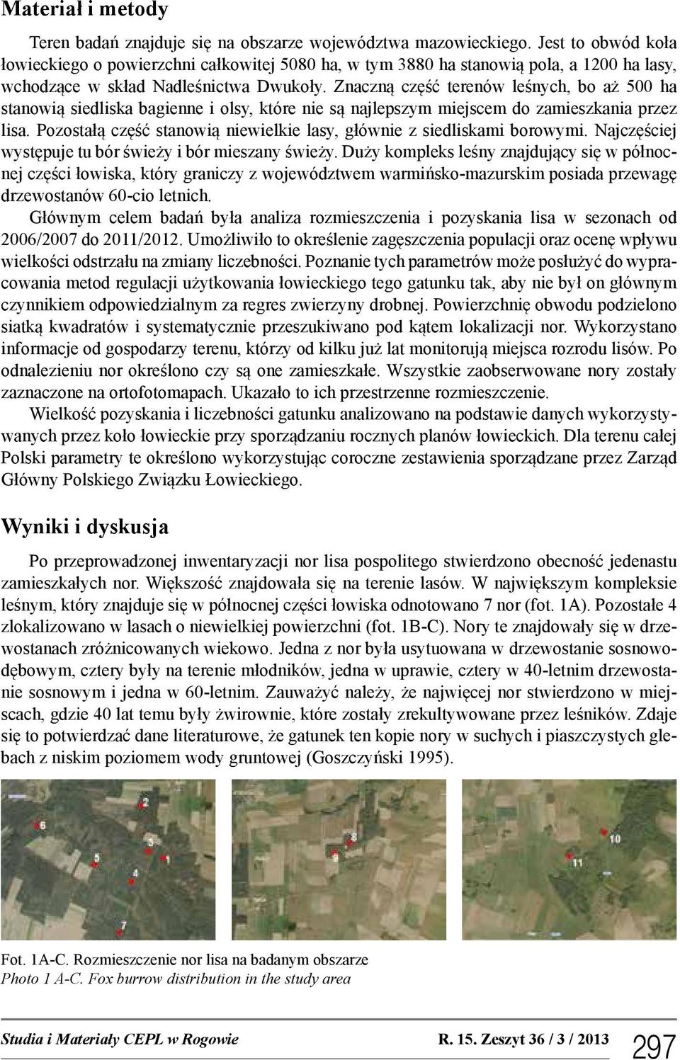 Znaczną część terenów leśnych, bo aż 500 ha stanowią siedliska bagienne i olsy, które nie są najlepszym miejscem do zamieszkania przez lisa.