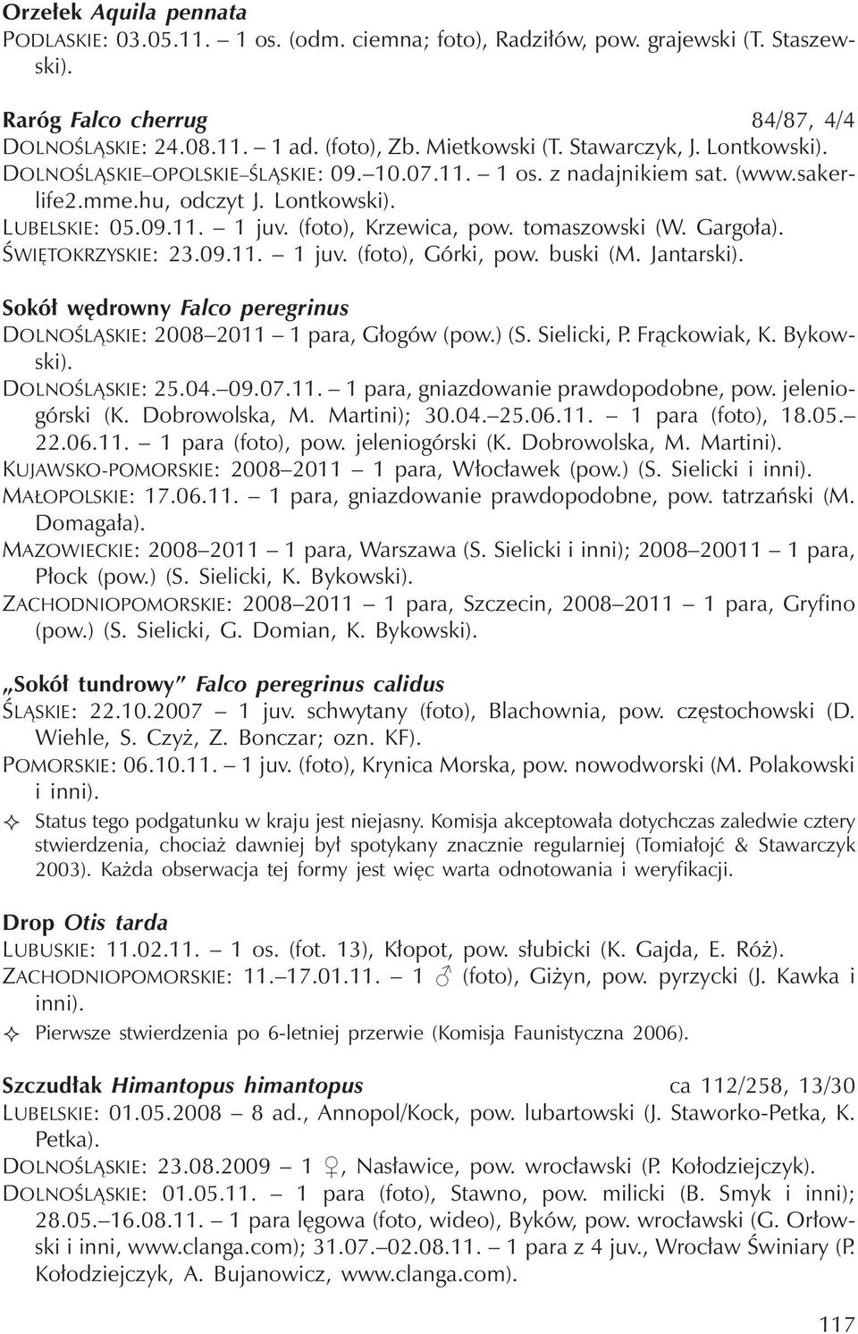 tomaszowski (W. Gargoła). ŚWIĘTOKRZYSKIE: 23.09.11. 1juv.(foto), Górki, pow. buski (M. Jantarski). Sokół wędrowny Falco peregrinus DOLNOŚLĄSKIE: 2008 2011 1 para, Głogów (pow.) (S. Sielicki, P.
