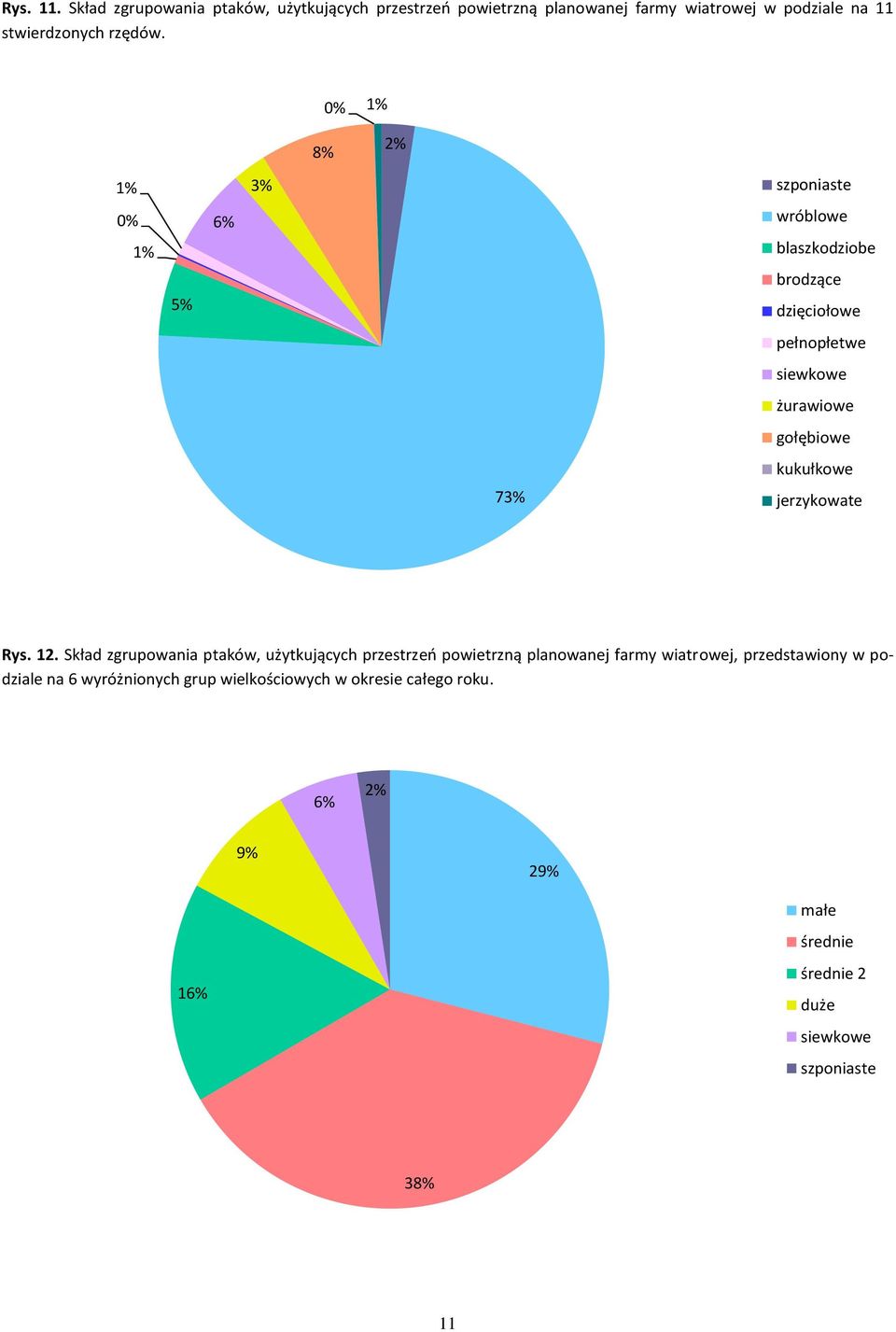 73% jerzykowate Rys. 12.