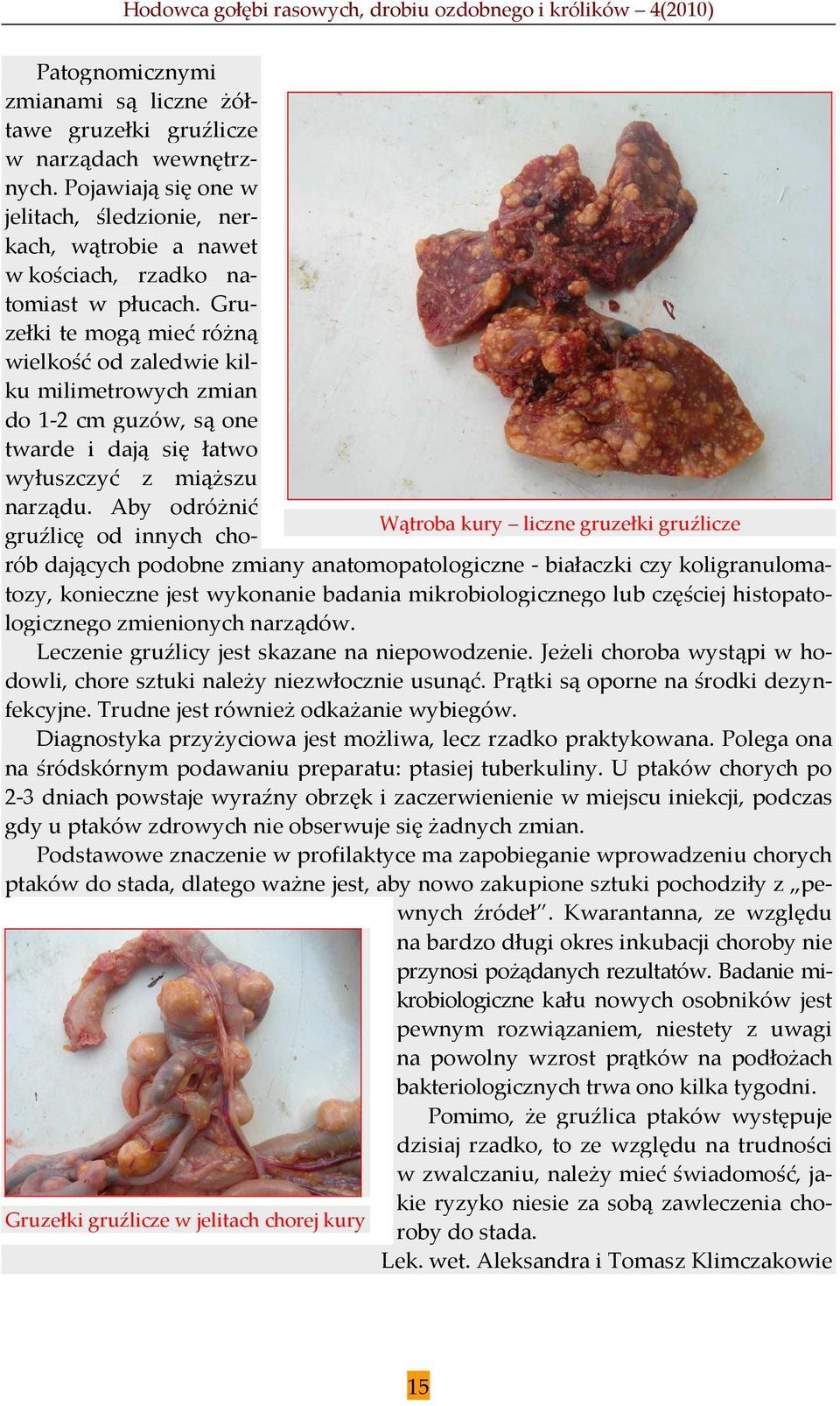 Aby odróżnić Wątroba kury liczne gruzełki gruźlicze gruźlicę od innych chorób dających podobne zmiany anatomopatologiczne - białaczki czy koligranulomatozy, konieczne jest wykonanie badania