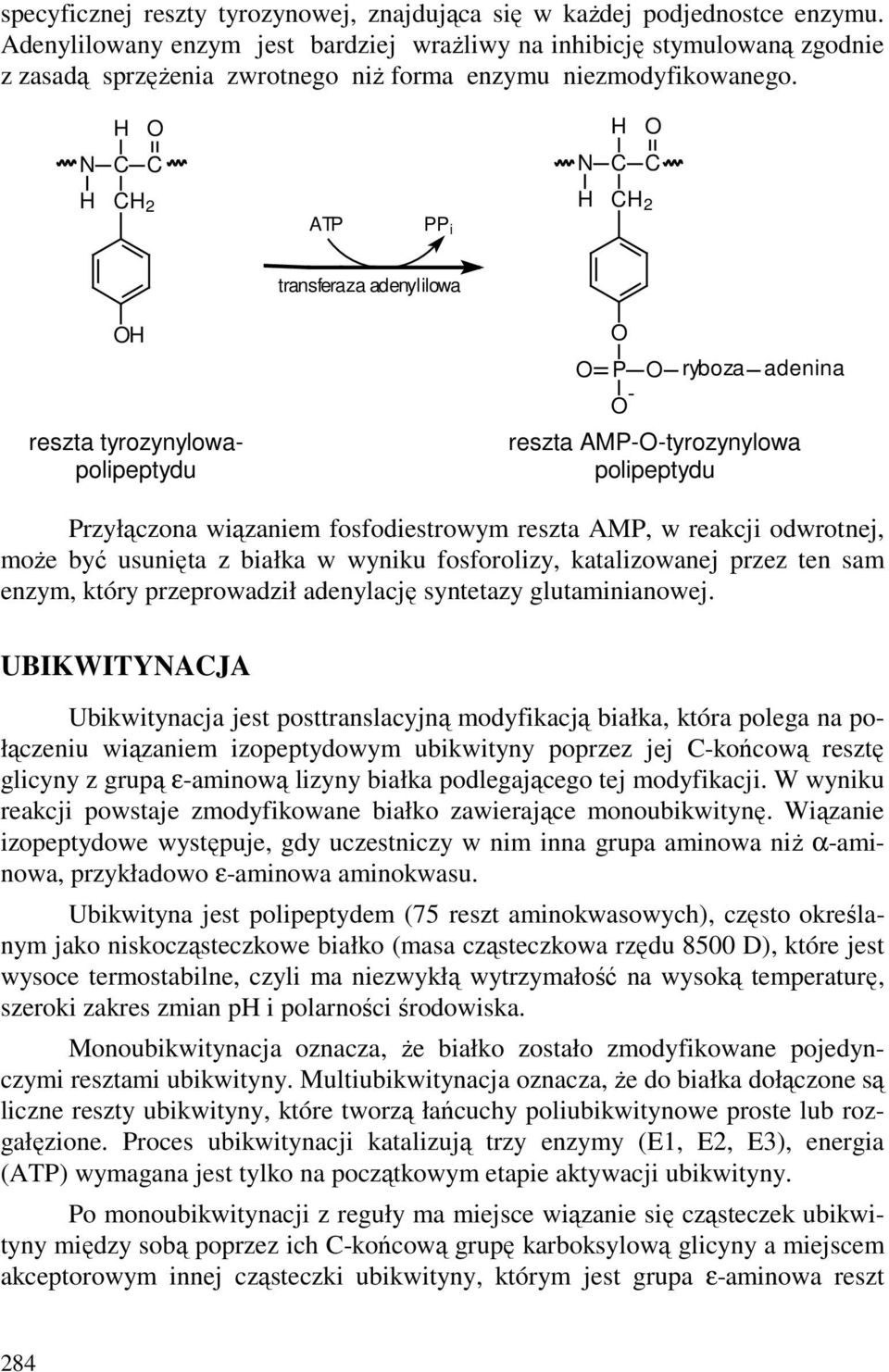 2 ATP PP i 2 transferaza adenylilowa reszta tyrozynylowapolipeptydu P ryboza adenina - reszta AMP--tyrozynylowa polipeptydu Przyłączona wiązaniem fosfodiestrowym reszta AMP, w reakcji odwrotnej, moŝe