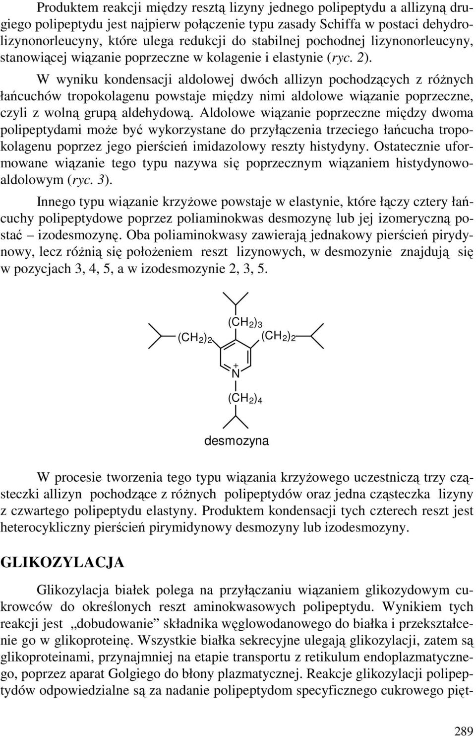 W wyniku kondensacji aldolowej dwóch allizyn pochodzących z róŝnych łańcuchów tropokolagenu powstaje między nimi aldolowe wiązanie poprzeczne, czyli z wolną grupą aldehydową.