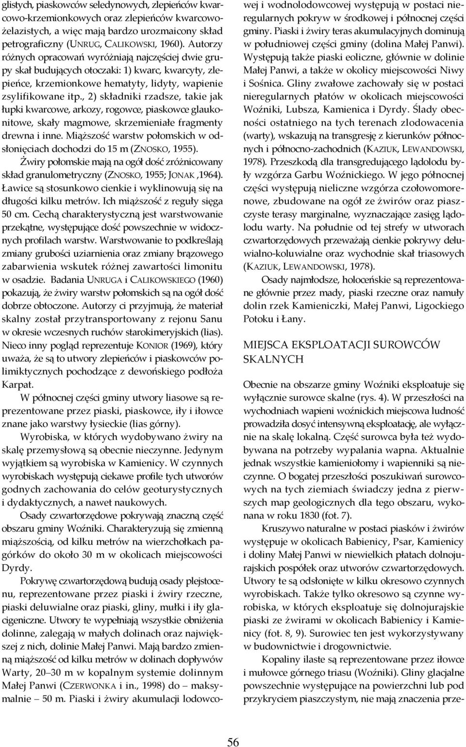, 2) składniki rzadsze, takie jak łupki kwarcowe, arkozy, rogowce, piaskowce glaukonitowe, skały magmowe, skrzemieniałe fragmenty drewna i inne.