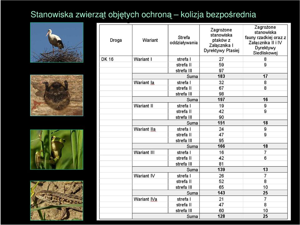 objętych