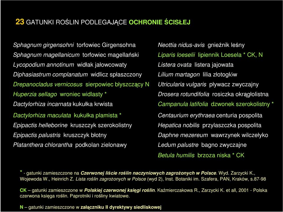 sierpowiec błyszczący N Utricularia vulgaris pływacz zwyczajny Huperzia sellago wroniec widlasty * Drosera rotundifolia rosiczka okrągłolistna Dactylorhiza incarnata kukułka krwista Campanula