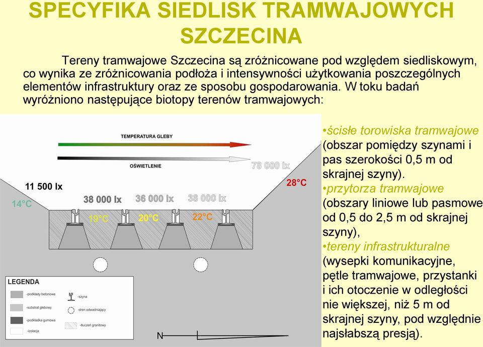 W toku badań wyróżniono następujące biotopy terenów tramwajowych: ścisłe torowiska tramwajowe (obszar pomiędzy szynami i pas szerokości 0,5 m od skrajnej szyny).