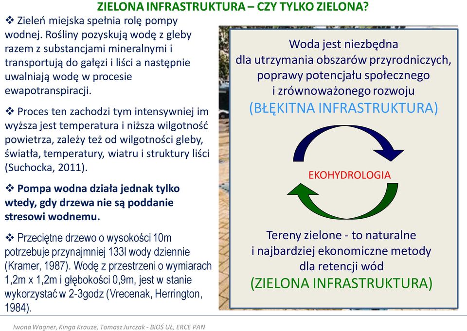 Proces ten zachodzi tym intensywniej im wyższa jest temperatura i niższa wilgotność powietrza, zależy też od wilgotności gleby, światła, temperatury, wiatru i struktury liści (Suchocka, 2011).