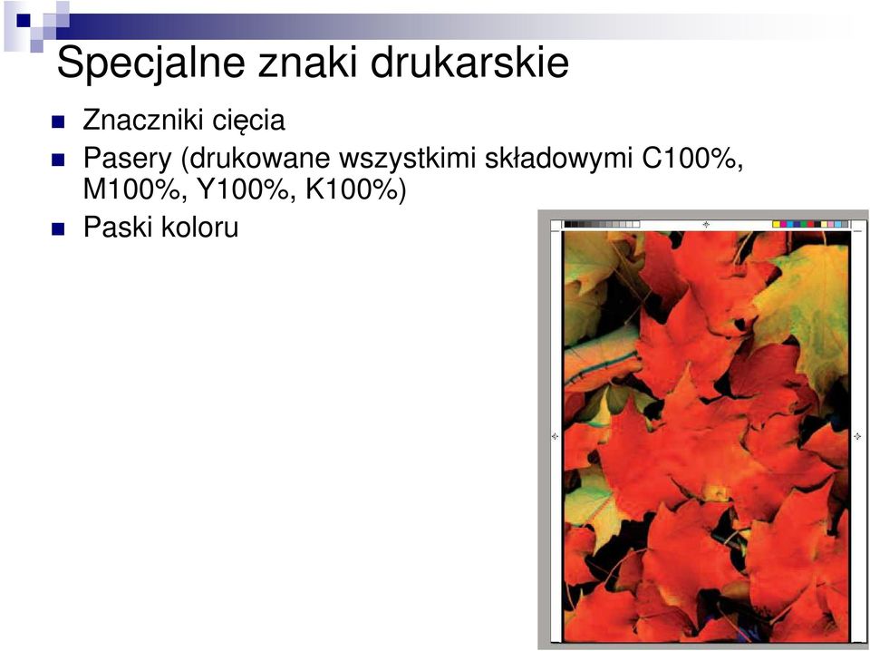 (drukowane wszystkimi