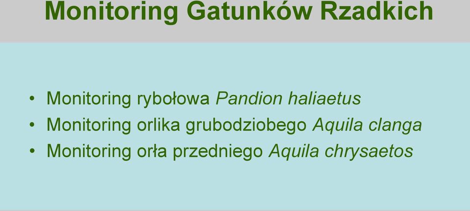 orlika grubodziobego Aquila clanga