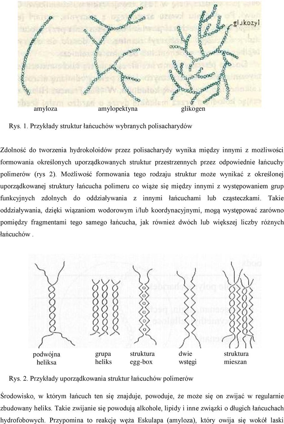 przestrzennych przez odpowiednie łańcuchy polimerów (rys 2).