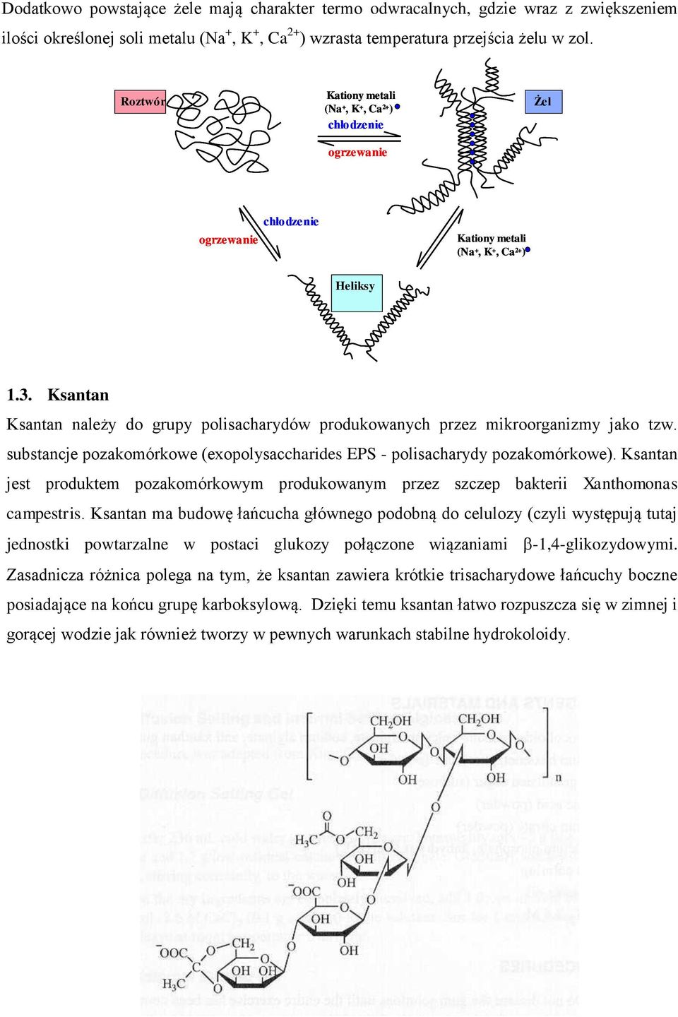 Ksantan Ksantan należy do grupy polisacharydów produkowanych przez mikroorganizmy jako tzw. substancje pozakomórkowe (exopolysaccharides EPS - polisacharydy pozakomórkowe).