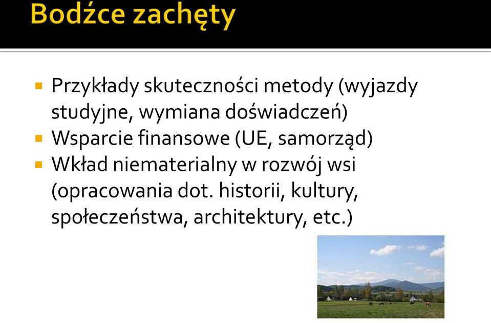 samorząd) Wkład niematerialny w rozwój wsi