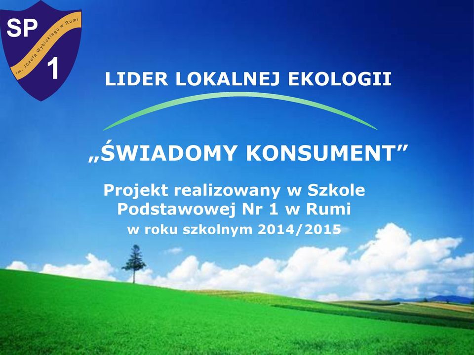 realizowany w Szkole