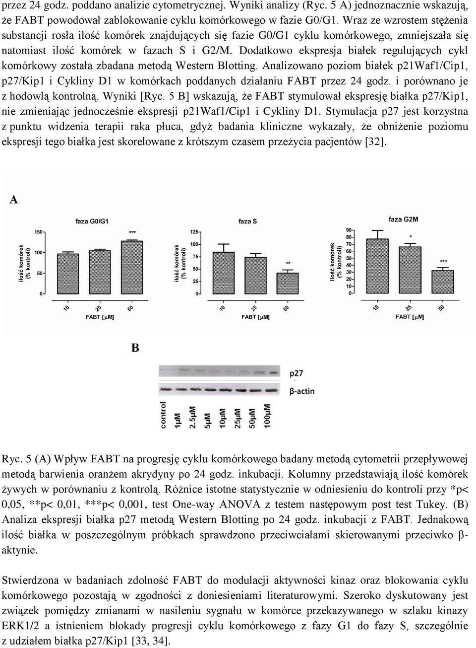Dodatkowo ekspresja białek regulujących cykl komórkowy została zbadana metodą Western Blotting.