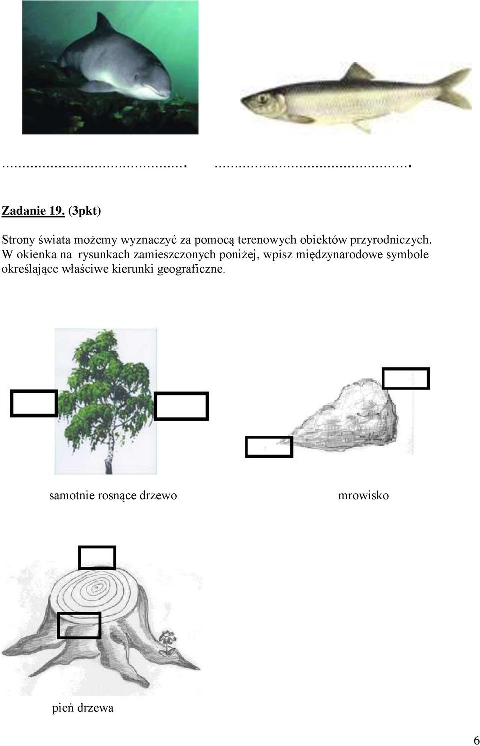 obiektów przyrodniczych.