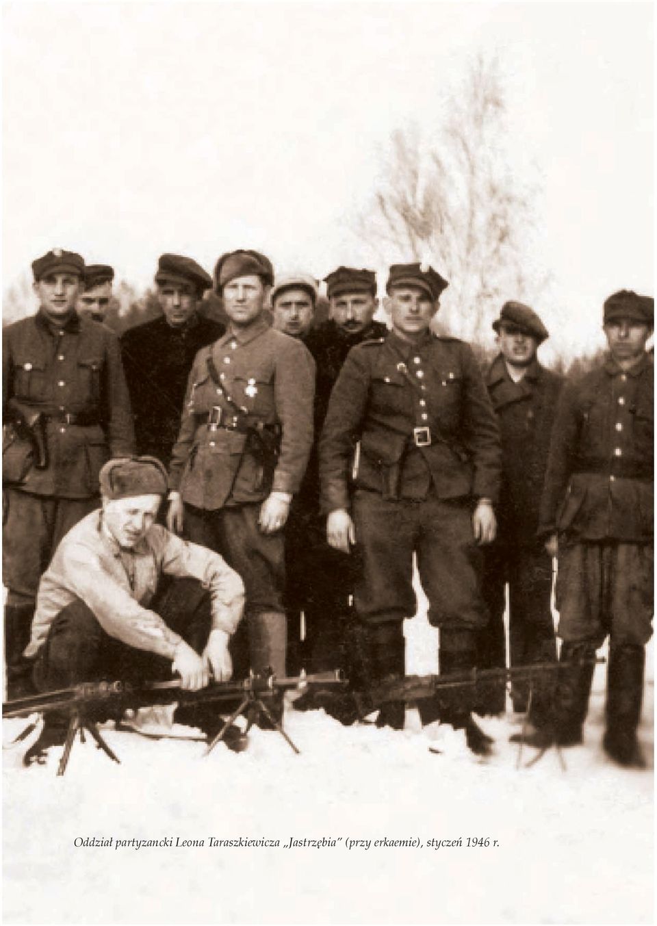 Jastrzębia (przy