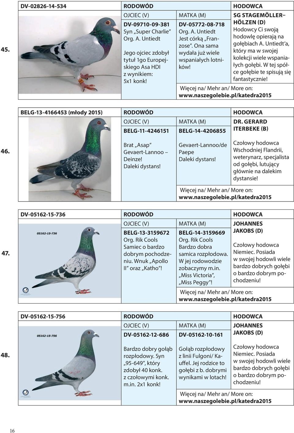 W tej spół- wspaniałych lotni- kolekcji wiele wspania- z wynikiem: ce gołębie te spisują się 5x1 konk! fantastycznie! BELG-13-4166453 (młody 2015) RODOWÓD HODOWCA BELG-11-4246151 BELG-14-4206855 DR.