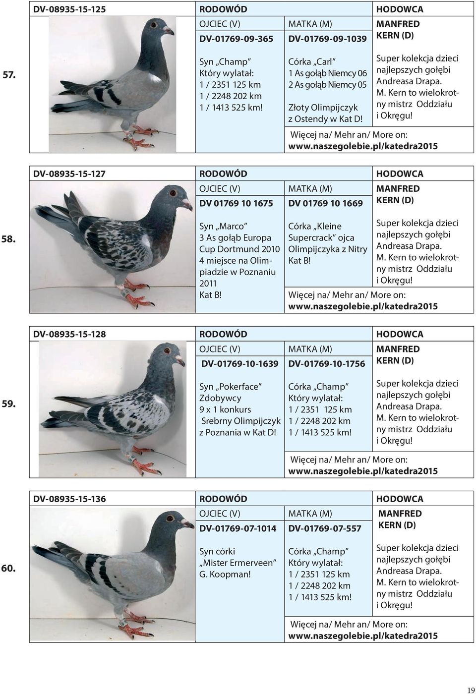 DV-08935-15-127 RODOWÓD HODOWCA DV 01769 10 1675 DV 01769 10 1669 MANFRED KERN (D) 58. Syn Marco 3 As gołąb Europa Cup Dortmund 2010 4 miejsce na Olimpiadzie w Poznaniu 2011 Kat B!
