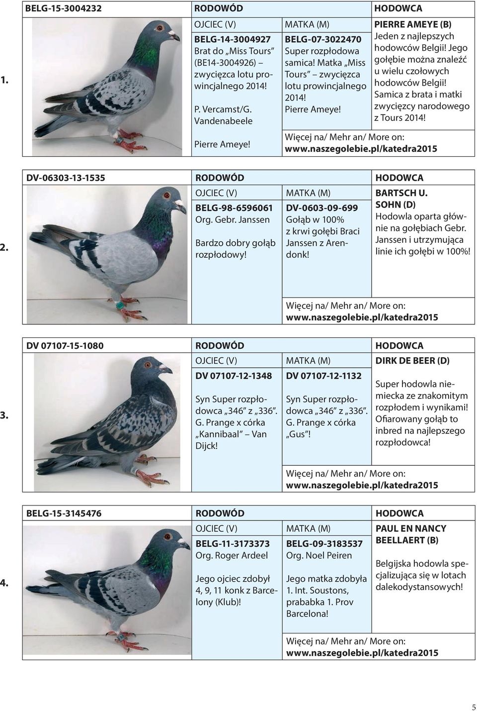 zwycięzcy narodowego Vandenabeele z Tours 2014! Pierre Ameye! 2. DV-06303-13-1535 RODOWÓD HODOWCA BARTSCH u. BELG-98-6596061 Org. Gebr. Janssen Bardzo dobry gołąb rozpłodowy!