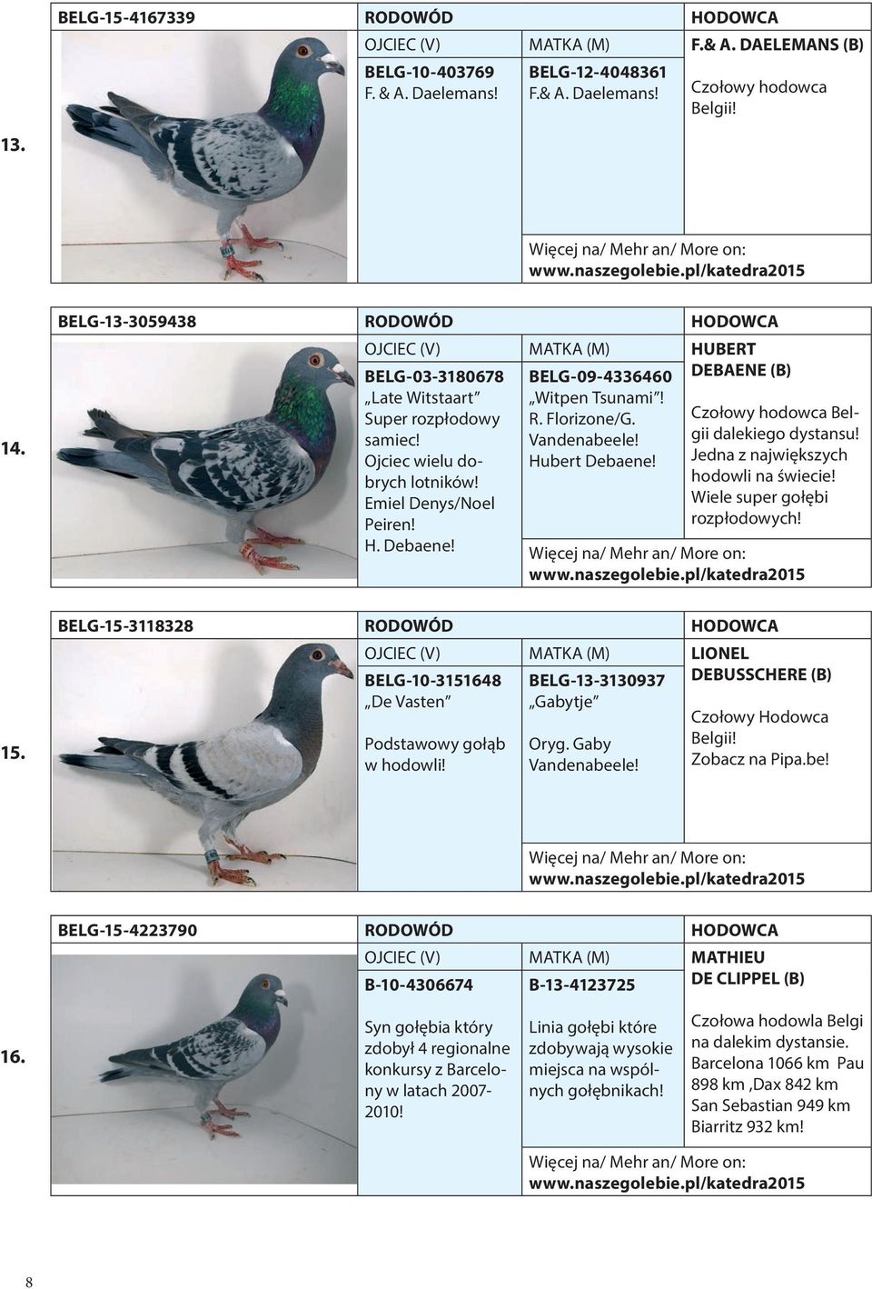 Ojciec wielu dobrych Hubert Debaene! lotników! Emiel Denys/Noel Peiren! H. Debaene! Czołowy hodowca Belgii dalekiego dystansu! Jedna z największych hodowli na świecie! Wiele super gołębi rozpłodowych!