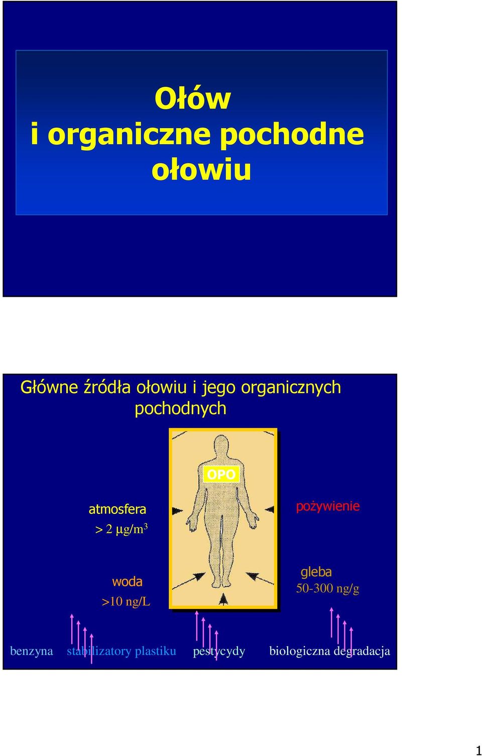 3 poŝywienie woda >10 ng/l gleba 50-300 ng/g benzyna