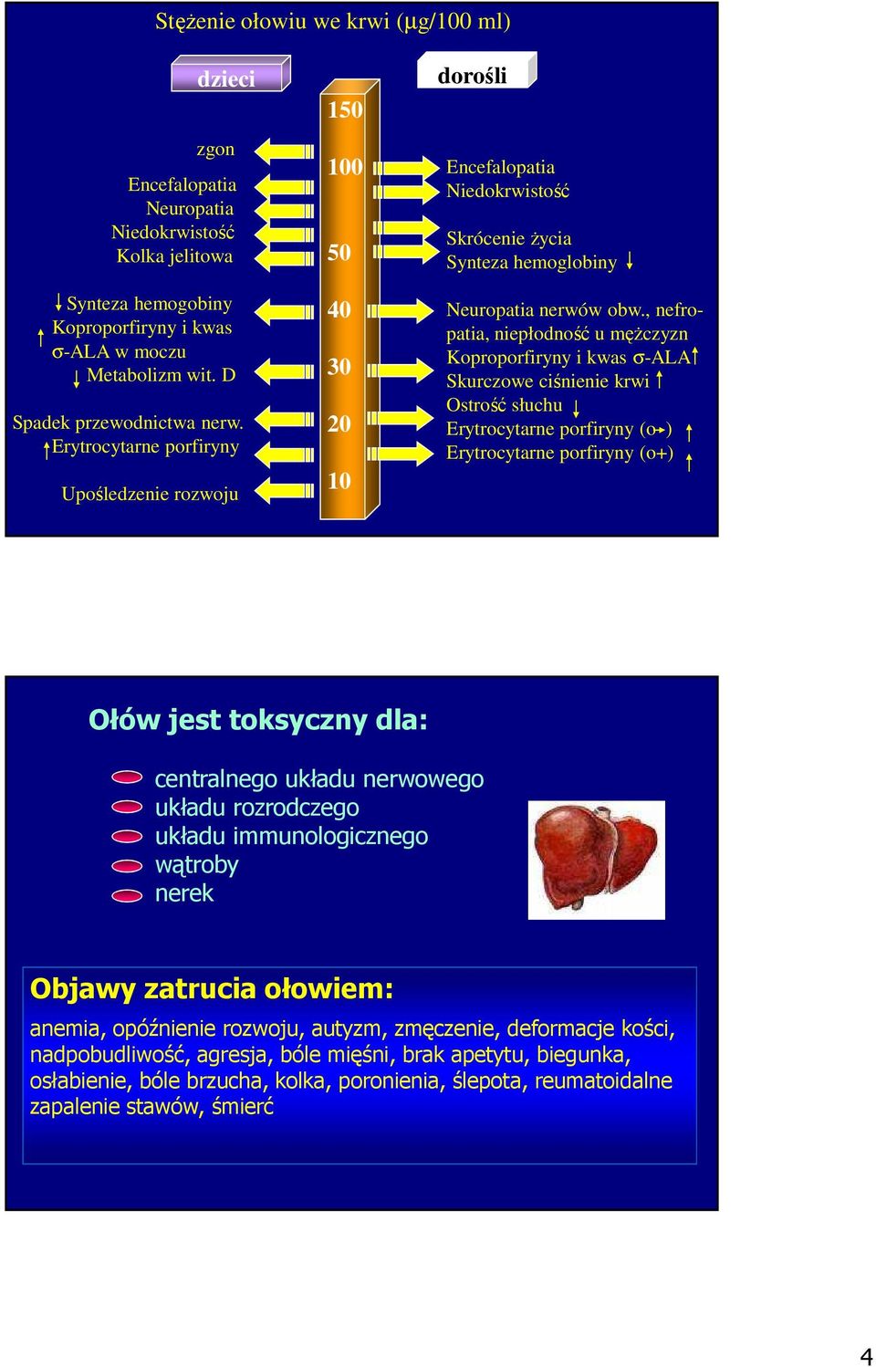 , nefropatia, niepłodność u męŝczyzn Koproporfiryny i kwas σ-ala Skurczowe ciśnienie krwi Ostrość słuchu Erytrocytarne porfiryny (o ) Erytrocytarne porfiryny (o+) Ołów jest toksyczny dla: centralnego