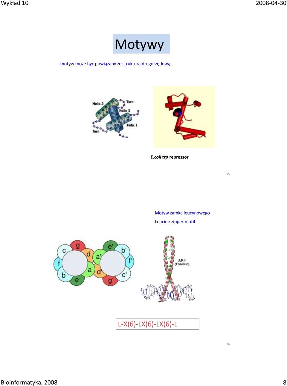 coli trp repressor 15 Motyw zamka