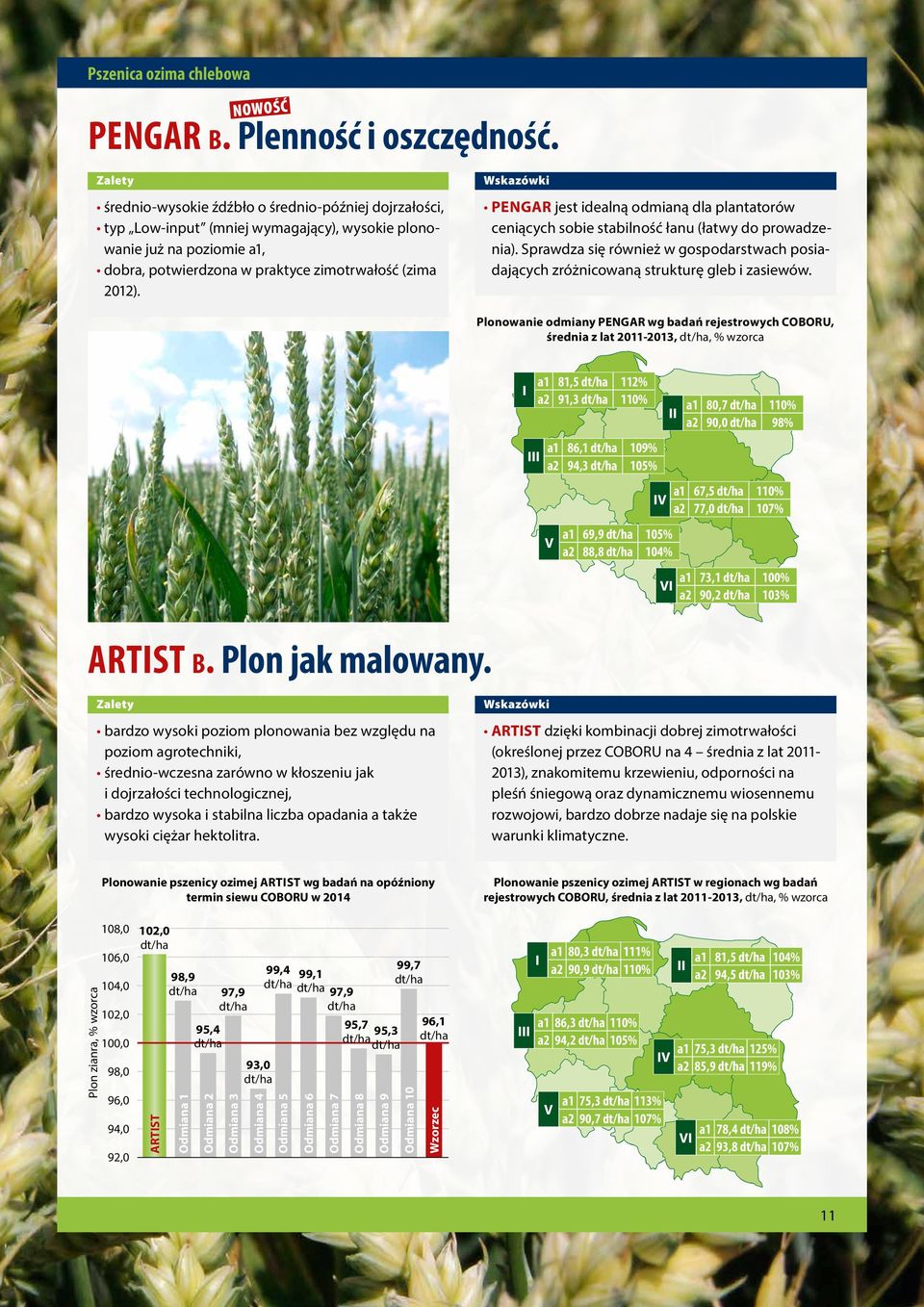 PENGAR jest idealną odmianą dla plantatorów ceniących sobie stabilność łanu (łatwy do prowadzenia). Sprawdza się również w gospodarstwach posiadających zróżnicowaną strukturę gleb i zasiewów.