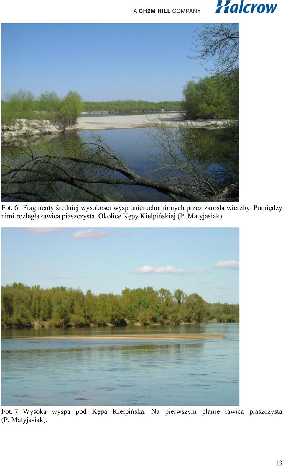 wierzby. Pomiędzy nimi rozległa ławica piaszczysta.