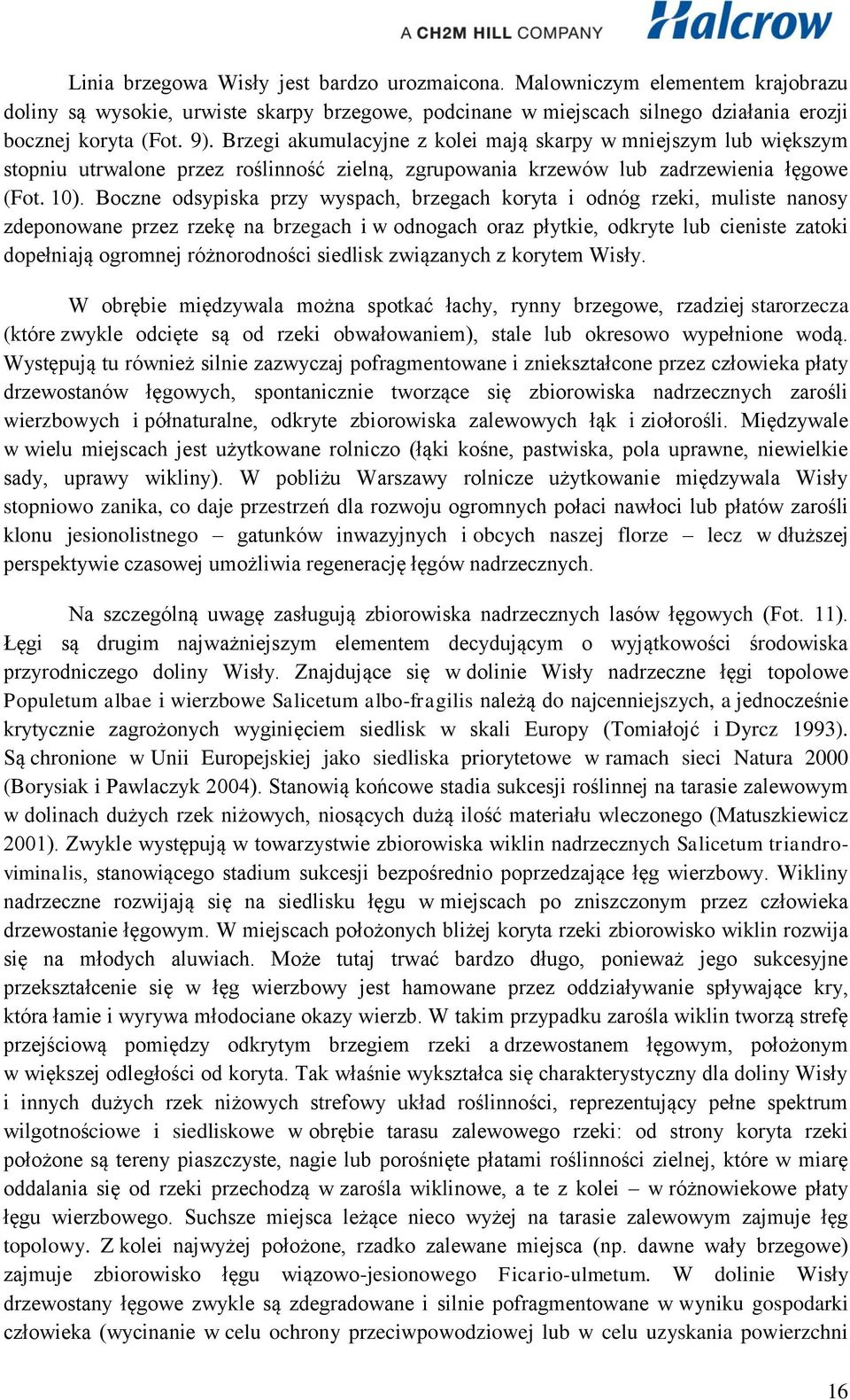 Boczne odsypiska przy wyspach, brzegach koryta i odnóg rzeki, muliste nanosy zdeponowane przez rzekę na brzegach i w odnogach oraz płytkie, odkryte lub cieniste zatoki dopełniają ogromnej