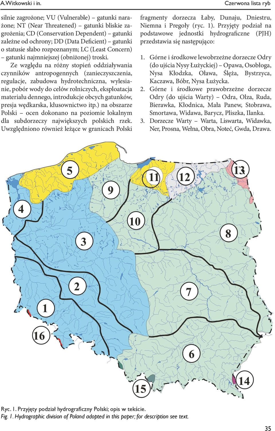 słabo rozpoznanym; LC (Least Concern) gatunki najmniejszej (obniżonej) troski.