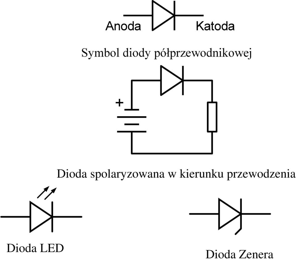 spolaryzowana w kierunku