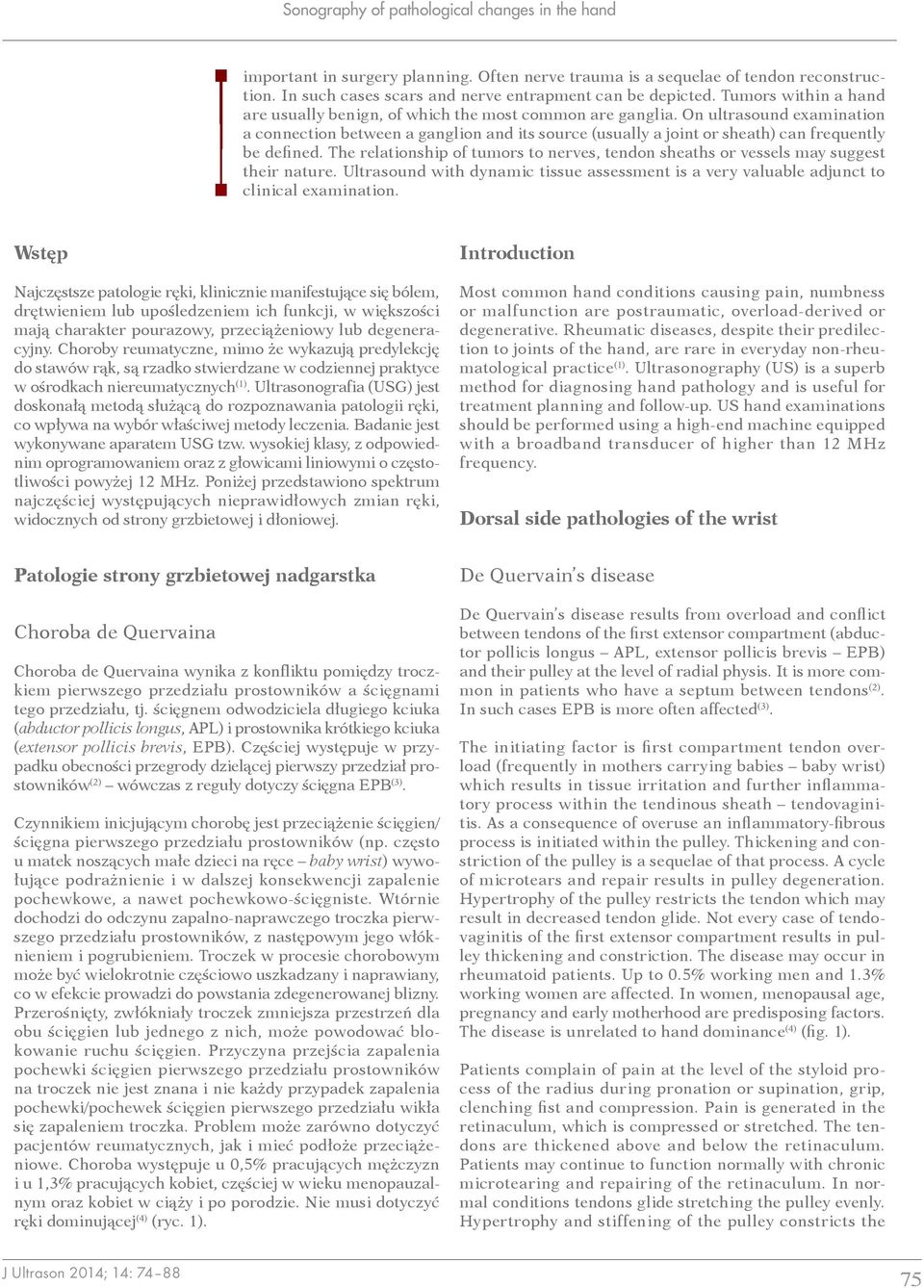 On ultrasound examination a connection between a ganglion and its source (usually a joint or sheath) can frequently be defined.